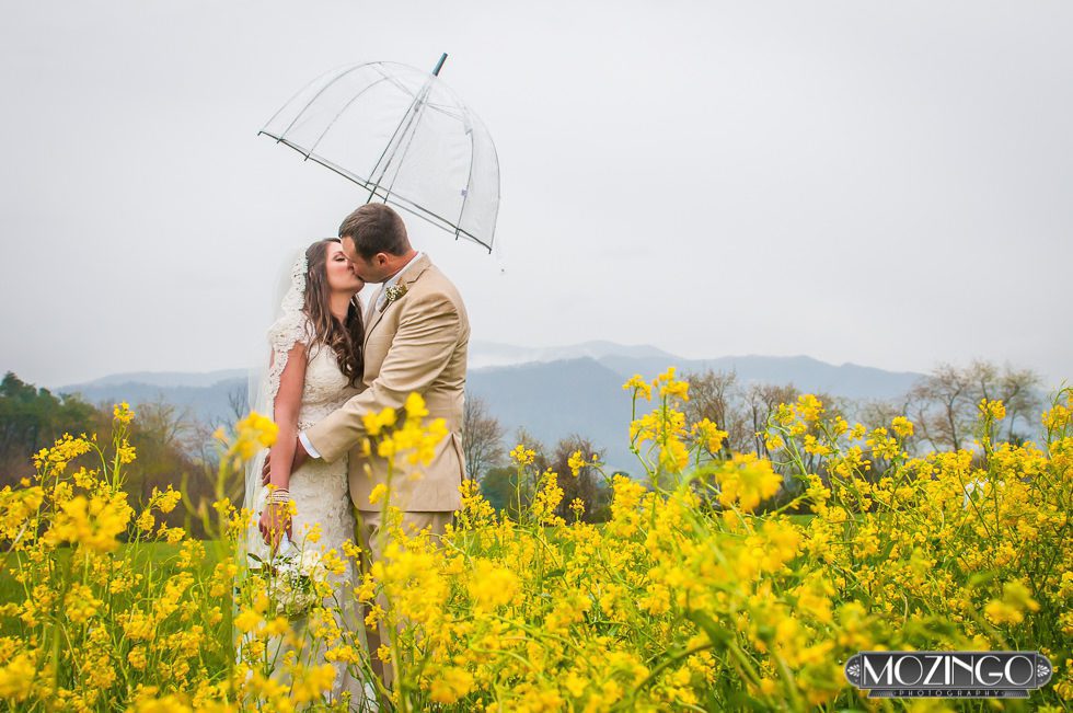 Asheville_Family_Photography-8