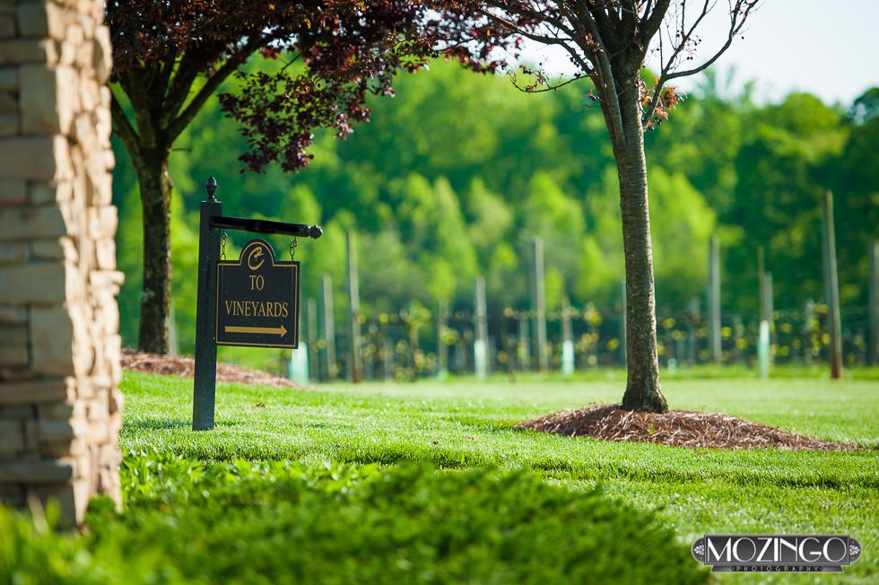 Childress_Vineyard_Wedding_Photographer2-1